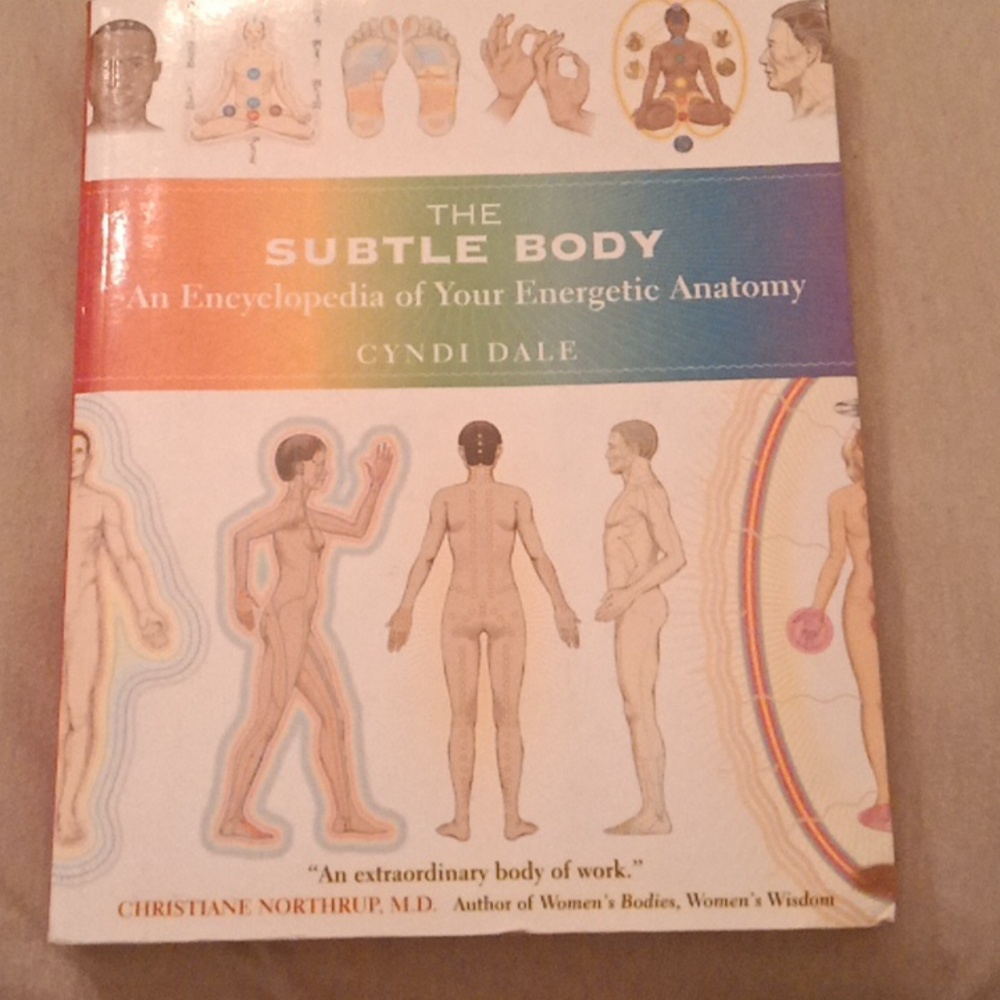 The Subtle Body Encyclopedia Great Condition